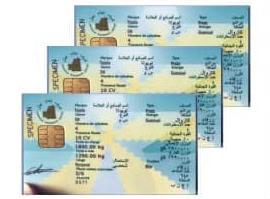 مديرية النقل: سنرسل بعثة فنية لمعالجة طلبات البطاقات الرمادية في الداخل