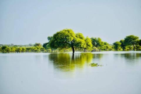 أمطار تصل «70 ملم» على الحوض الشرقي ولعصابه وكيدي ماغه
