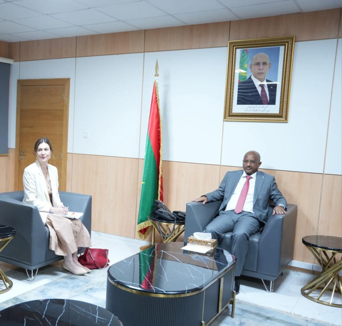 وزير الدفاع يلتقي منسقة منظومة الأمم المتحدة في موريتانيا