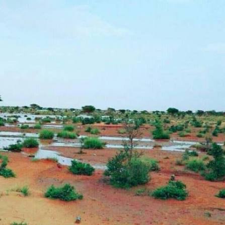 تساقطات مطرية هامة .. مقاييس