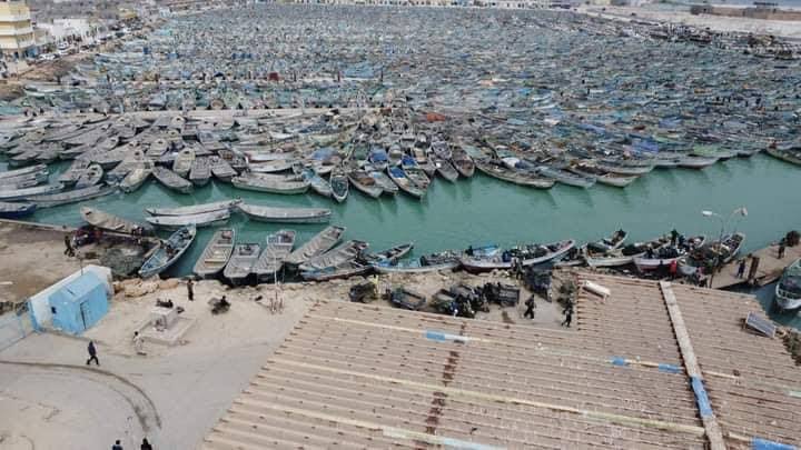 بدء سريان التوقيف البيولوجي لصيد الأخطبوط في المياه الوطنية