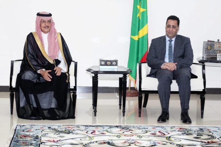 الوزير الأول يلتقي وفد الصندوق السعودي للتنمية